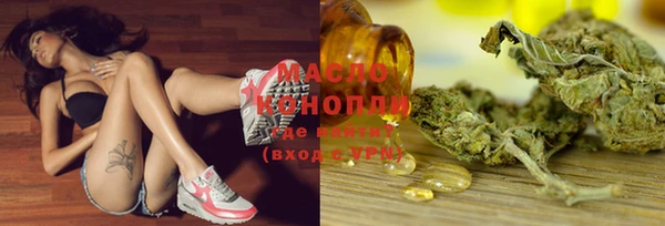 дмт Алзамай