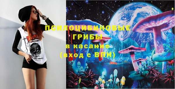 дмт Алзамай