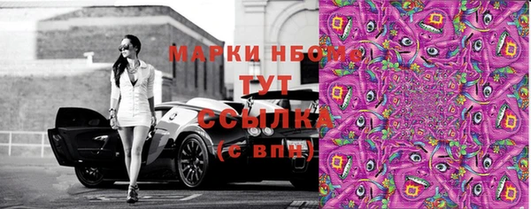 дмт Алзамай