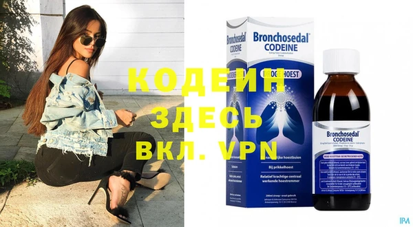 индика Алексеевка