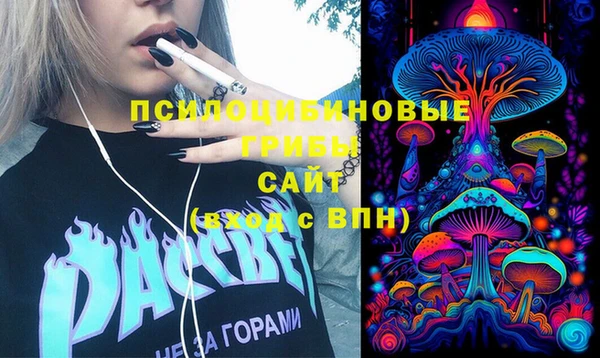 индика Алексеевка