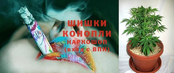 дмт Алзамай