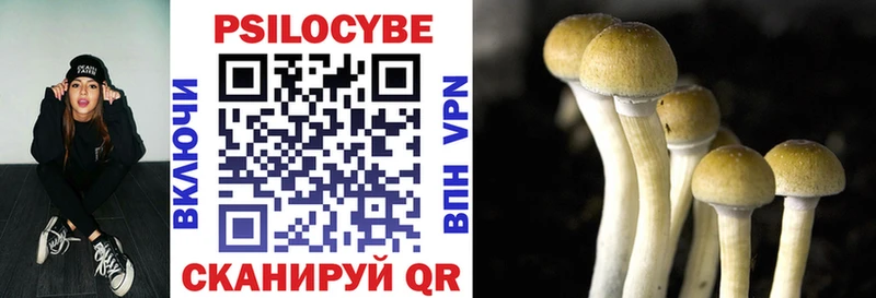 Псилоцибиновые грибы Psilocybine cubensis Перевоз